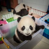 Von der Plastikbox in den Wald