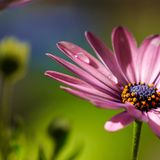 GEO Leserfoto: Die besten Leserfotos: Juni 2014 - Bild 3