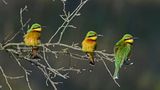 GEO Leserfoto: Die besten Leserfotos: Juni 2014 - Bild 4
