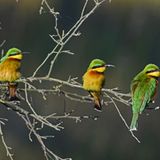 GEO Leserfoto: Die besten Leserfotos: Juni 2014 - Bild 4