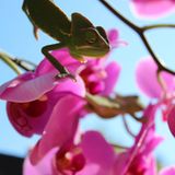 GEO Leserfoto: Die besten Leserfotos: Juni 2014 - Bild 5