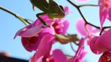 GEO Leserfoto: Die besten Leserfotos: Juni 2014 - Bild 5