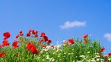 GEO Leserfoto: Die besten Leserfotos: Juni 2014 - Bild 6