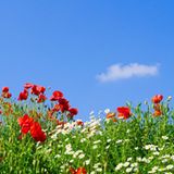 GEO Leserfoto: Die besten Leserfotos: Juni 2014 - Bild 6