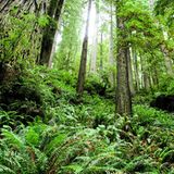 GEO Leserfoto: Die besten Leserfotos: Juni 2014 - Bild 8