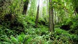 GEO Leserfoto: Die besten Leserfotos: Juni 2014 - Bild 8
