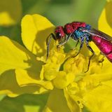 GEO Leserfoto: Die besten Leserfotos: Juni 2014 - Bild 15