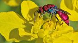 GEO Leserfoto: Die besten Leserfotos: Juni 2014 - Bild 15