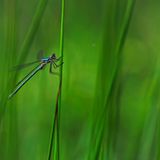 GEO Leserfoto: Die besten Leserfotos: Juni 2014 - Bild 18