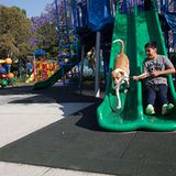 Stadtkinder: Jesùs aus Mexiko-Stadt - Bild 4