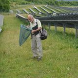 Schmetterlingsexperte