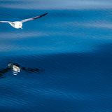 GEO Leserfoto: Die besten Leserfotos: Juli 2014 - Bild 2