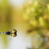 GEO Leserfoto: Die besten Leserfotos: Juli 2014 - Bild 3