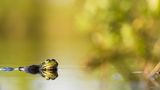 GEO Leserfoto: Die besten Leserfotos: Juli 2014 - Bild 3