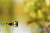 GEO Leserfoto: Die besten Leserfotos: Juli 2014 - Bild 3