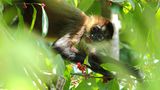 GEO Leserfoto: Die besten Leserfotos: Juli 2014 - Bild 6