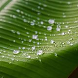 GEO Leserfoto: Die besten Leserfotos: Juli 2014 - Bild 7