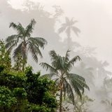 GEO Leserfoto: Die besten Leserfotos: Juli 2014 - Bild 10