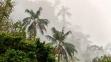 GEO Leserfoto: Die besten Leserfotos: Juli 2014 - Bild 10