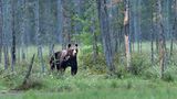 GEO Leserfoto: Die besten Leserfotos: Juli 2014 - Bild 11