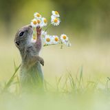 GEO Leserfoto: Die besten Leserfotos: Juli 2014 - Bild 12