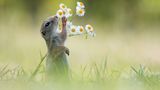 GEO Leserfoto: Die besten Leserfotos: Juli 2014 - Bild 12