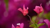 GEO Leserfoto: Die besten Leserfotos: Juli 2014 - Bild 13