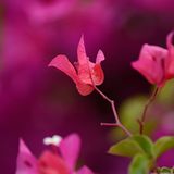 GEO Leserfoto: Die besten Leserfotos: Juli 2014 - Bild 13