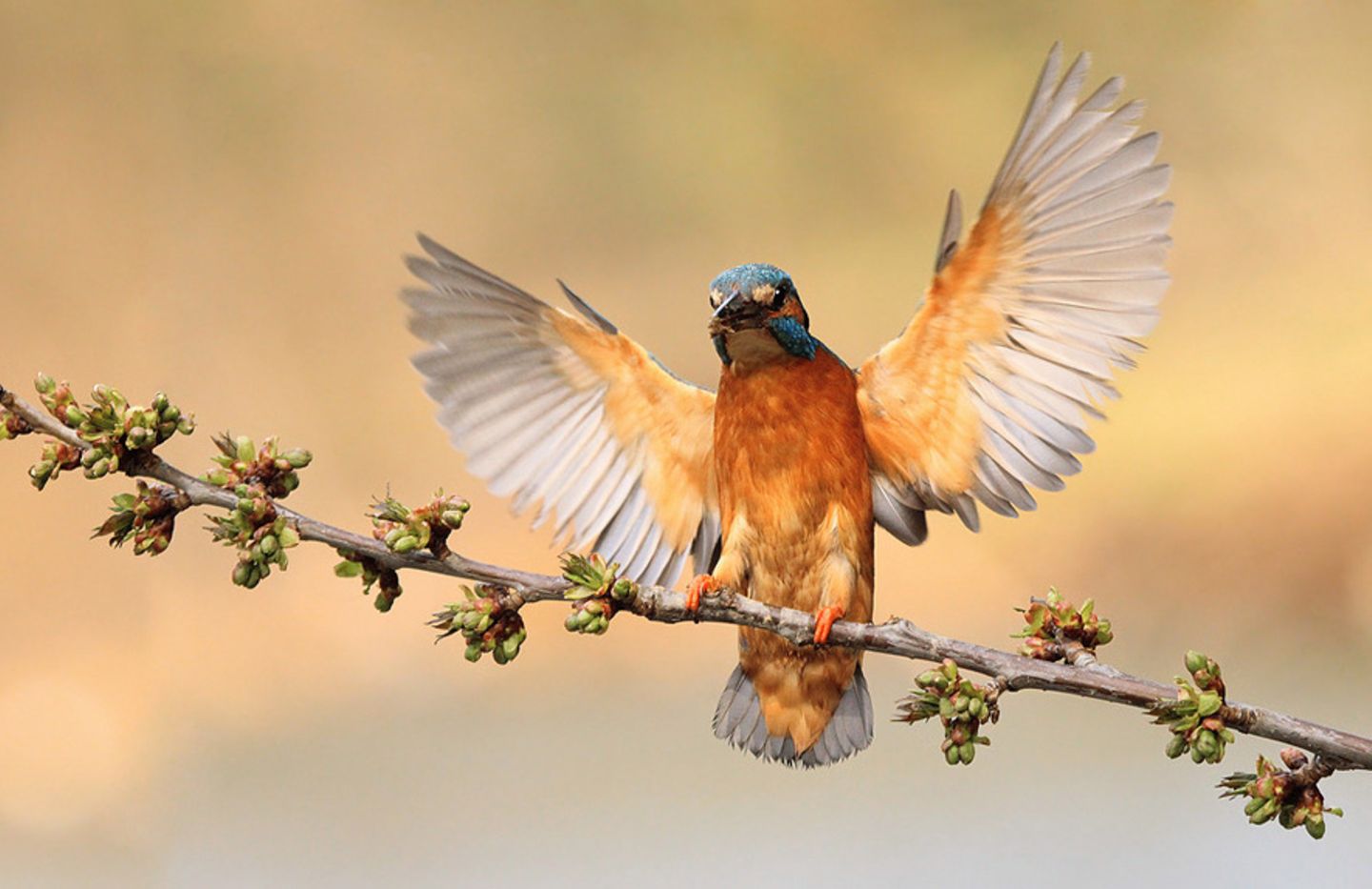 GEO Leserfoto: Die besten Leserfotos: Juli 2014 - Bild 14