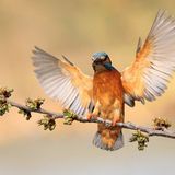 GEO Leserfoto: Die besten Leserfotos: Juli 2014 - Bild 14