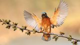 GEO Leserfoto: Die besten Leserfotos: Juli 2014 - Bild 14