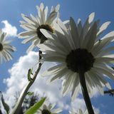 GEO Leserfoto: Die besten Leserfotos: Juli 2014 - Bild 15