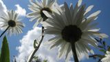 GEO Leserfoto: Die besten Leserfotos: Juli 2014 - Bild 15