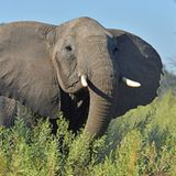 GEO Leserfoto: Die besten Leserfotos: Juli 2014 - Bild 16