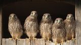 GEO Leserfoto: Die besten Leserfotos: Juli 2014 - Bild 20