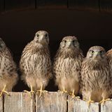 GEO Leserfoto: Die besten Leserfotos: Juli 2014 - Bild 20