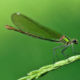 GEO Leserfoto: Die besten Leserfotos: Juli 2014 - Bild 23