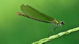 GEO Leserfoto: Die besten Leserfotos: Juli 2014 - Bild 23