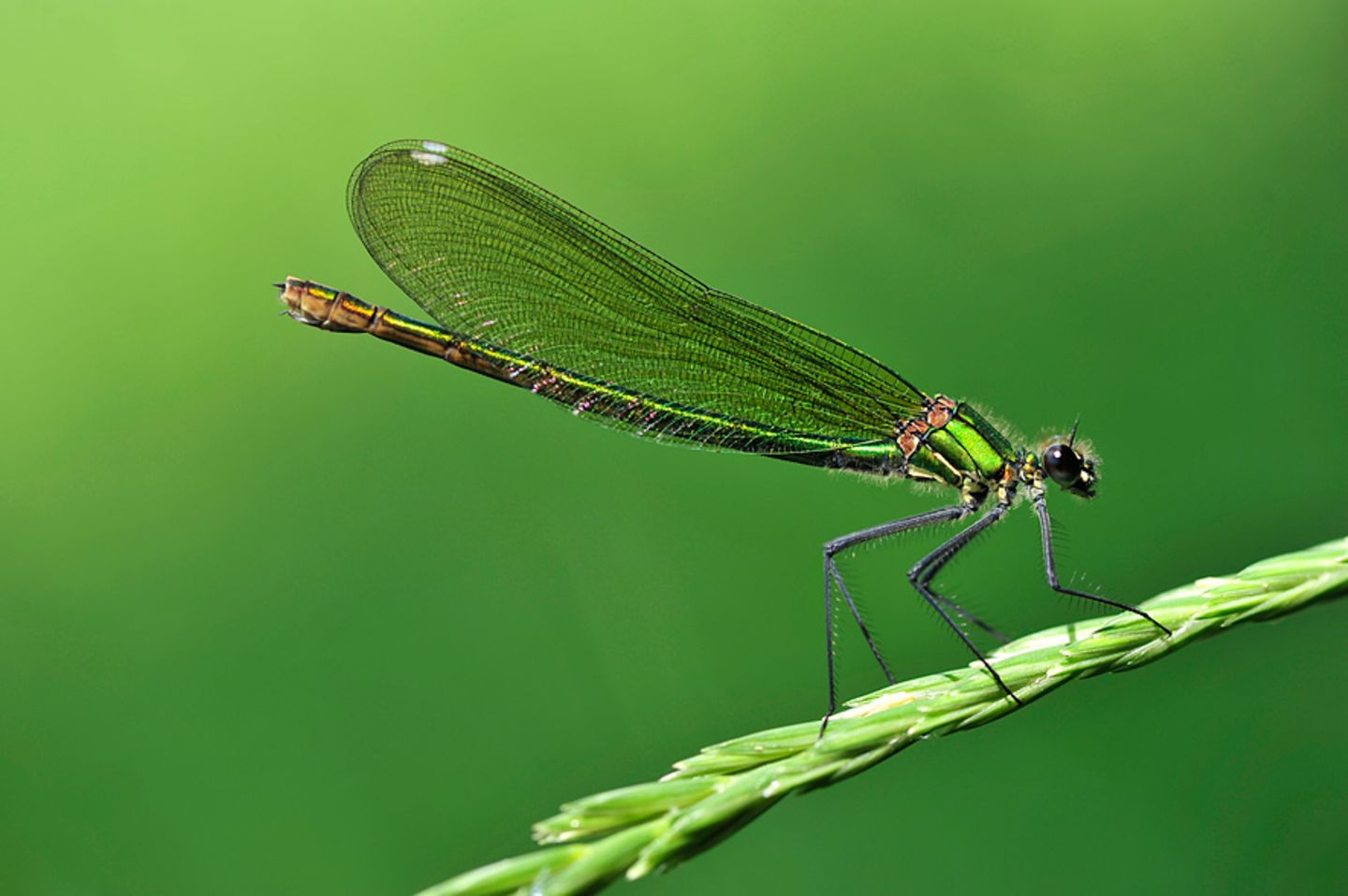 GEO Leserfoto: Die besten Leserfotos: Juli 2014 - Bild 23