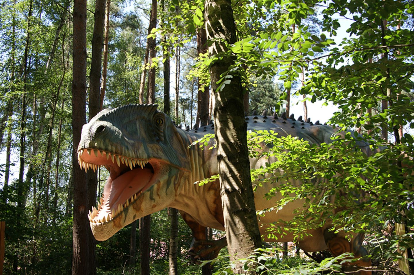 DVD: DVD-Tipp: Dinosaurier - Im Reich der Giganten - Bild 3