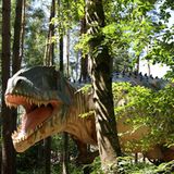 DVD: DVD-Tipp: Dinosaurier - Im Reich der Giganten - Bild 3