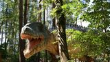 DVD: DVD-Tipp: Dinosaurier - Im Reich der Giganten - Bild 3