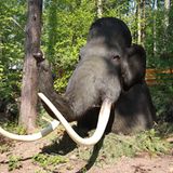 DVD: DVD-Tipp: Dinosaurier - Im Reich der Giganten - Bild 4