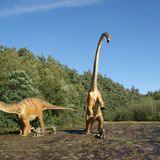 DVD: DVD-Tipp: Dinosaurier - Im Reich der Giganten - Bild 6