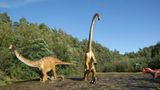 DVD: DVD-Tipp: Dinosaurier - Im Reich der Giganten - Bild 6