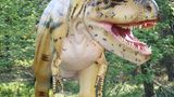 DVD: DVD-Tipp: Dinosaurier - Im Reich der Giganten - Bild 8