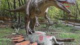 DVD: DVD-Tipp: Dinosaurier - Im Reich der Giganten - Bild 9