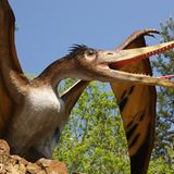 DVD: DVD-Tipp: Dinosaurier - Im Reich der Giganten - Bild 10