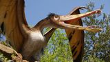 DVD: DVD-Tipp: Dinosaurier - Im Reich der Giganten - Bild 10