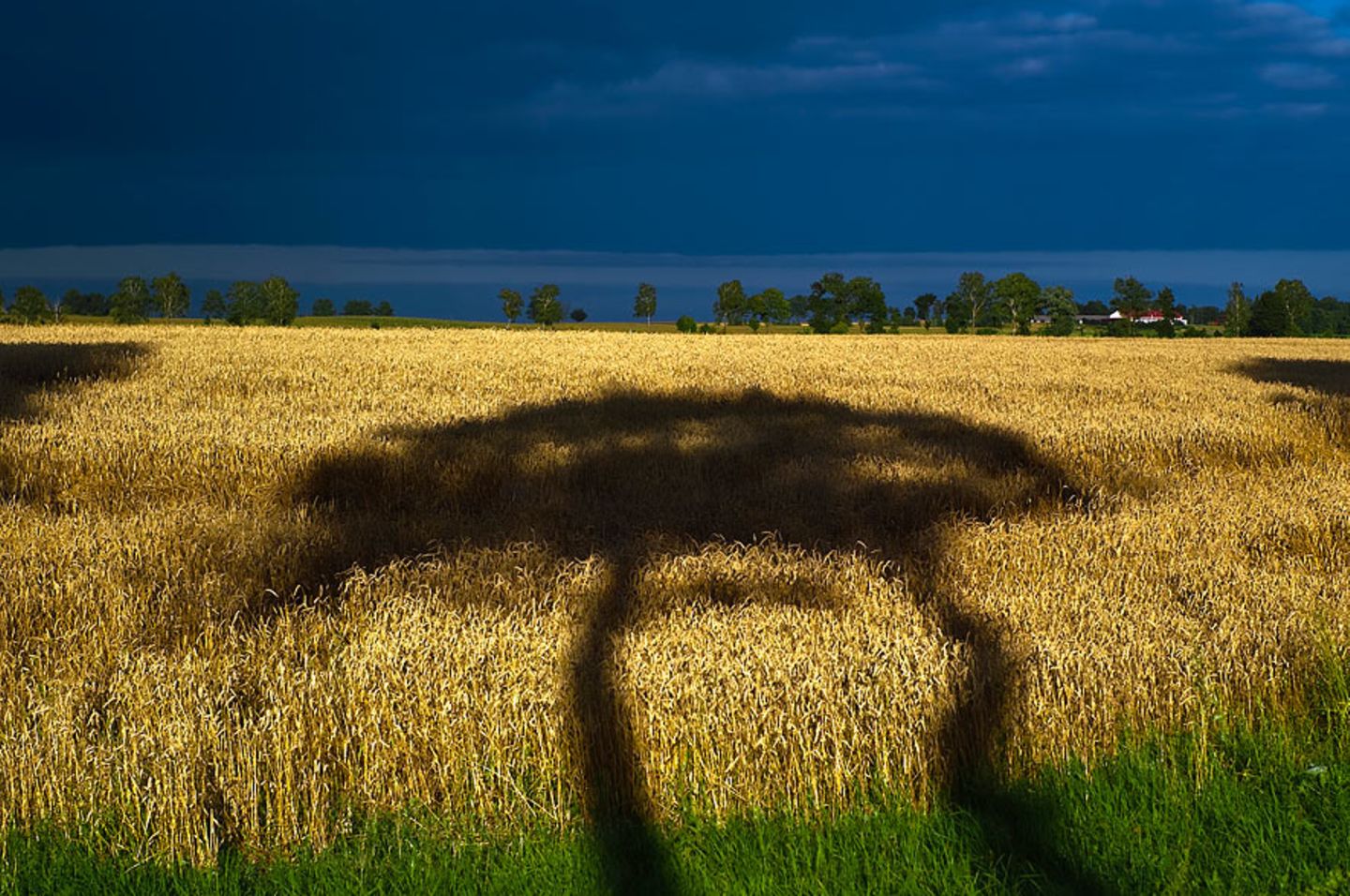 Schattenspiel